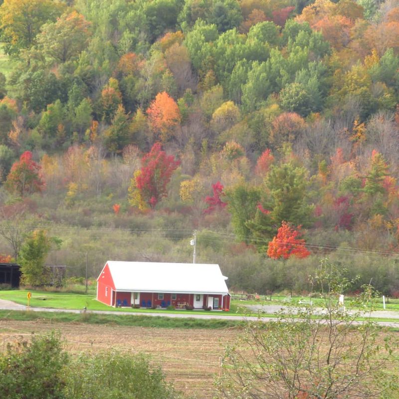 Stewart's Family Farm