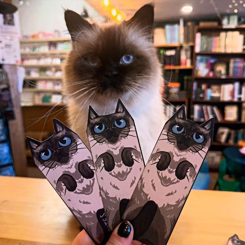Stickers, Gifts, And All The Book-Lover Extras