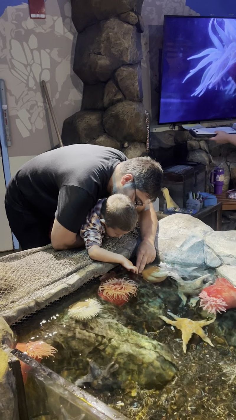 Shipwreck Exhibit: Architecture Underwater