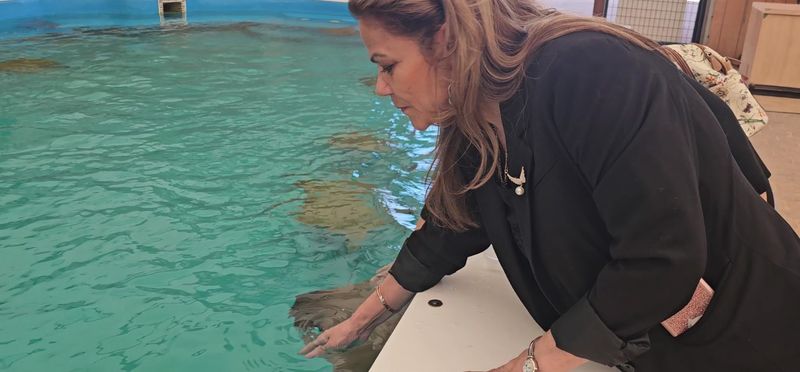 Stingray Bay in the Middle of the Desert