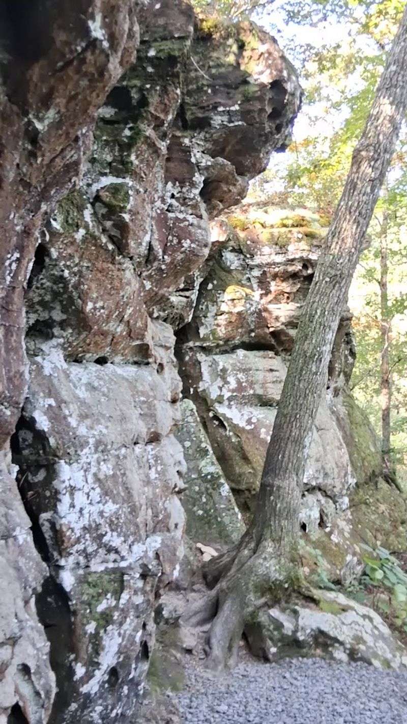Stone Shaped By Ancient Water