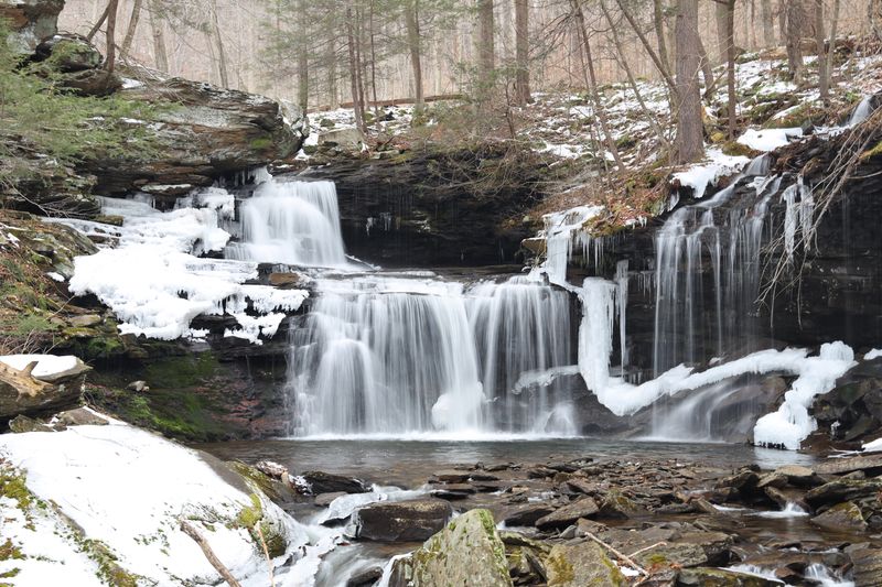 Winter Transforms Everything Into Frozen Magic
