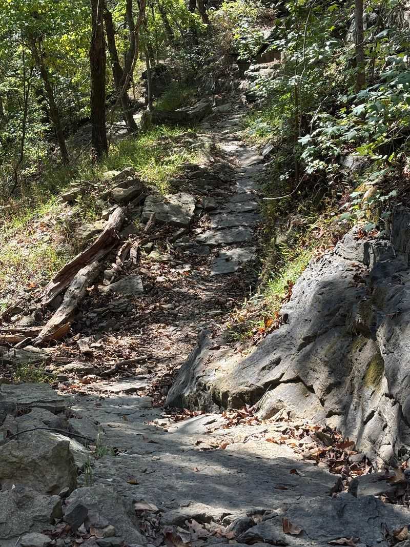 Stone Steps Lead Deeper Into The Woods Stone Steps Lead Deeper Into The Woods