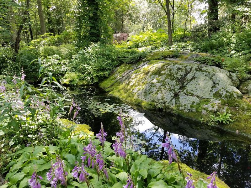Stonecrop Gardens