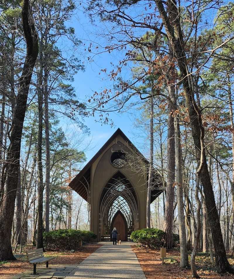 A Sanctuary In The Forest