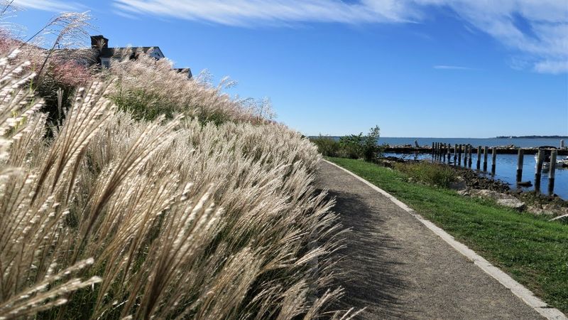 Stonington