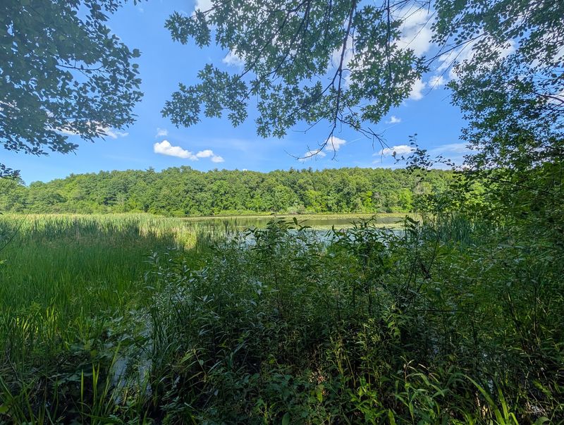 Stony Creek Metropark