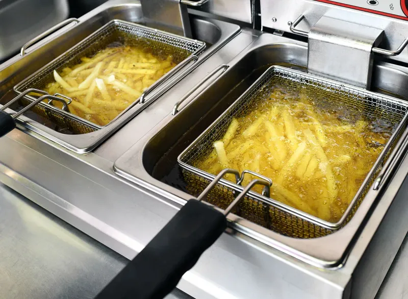 French Fries: The Irresistible Oil Sponges