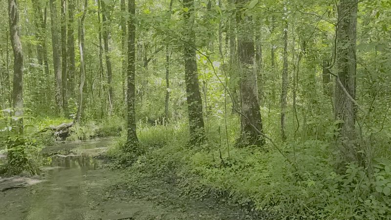 An Atmosphere Of Calm