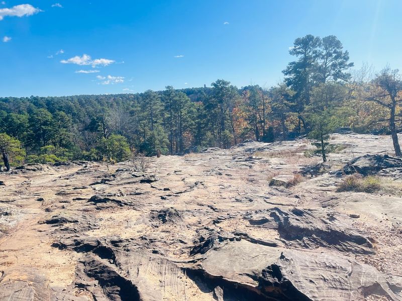 The Curious Rocks That Look Strangely Alive