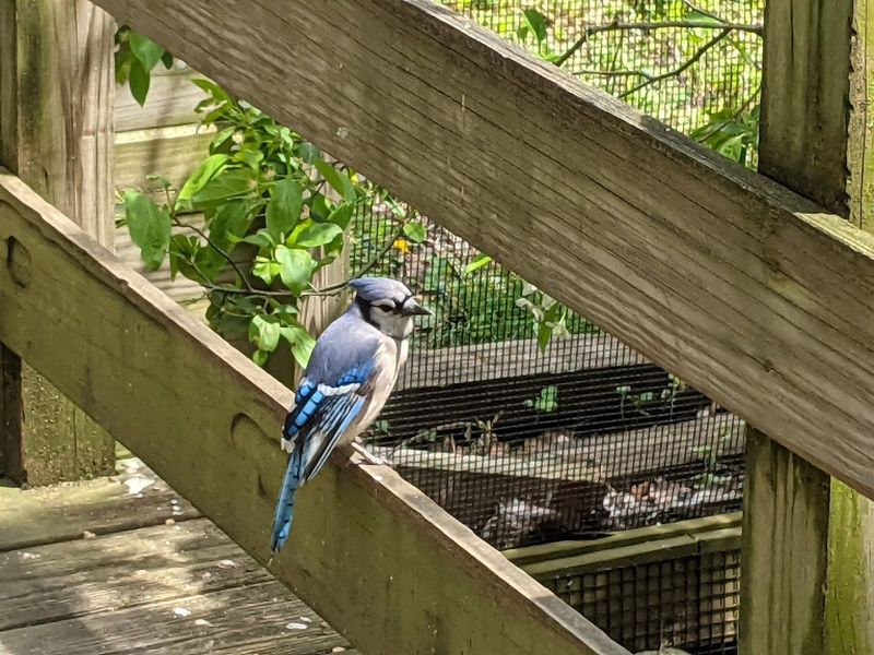 An Outstanding Gift Shop Experience