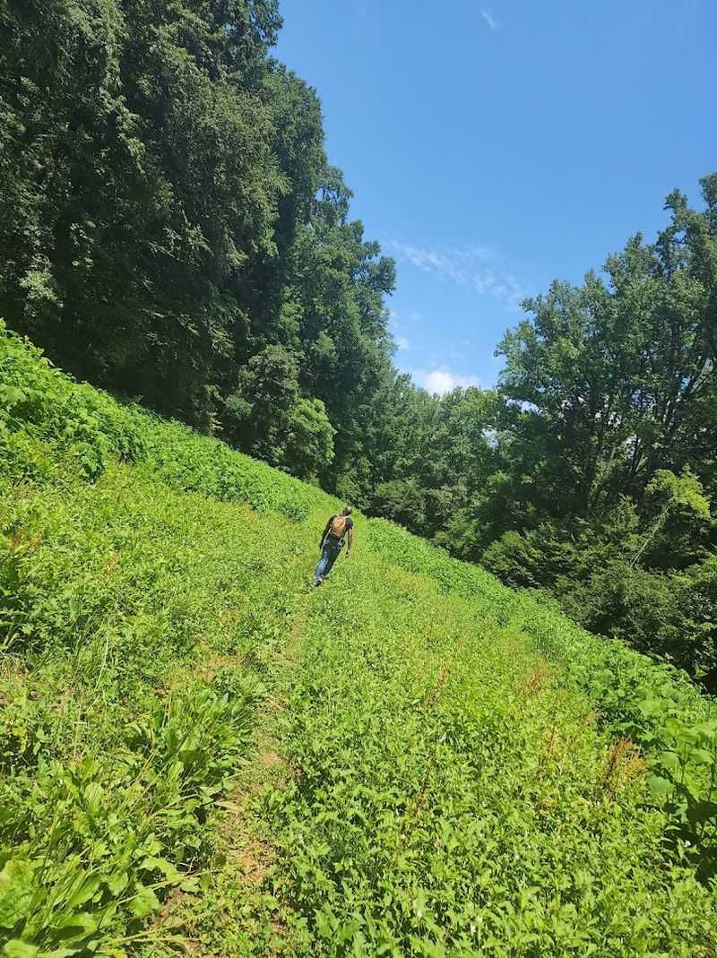 It's A Perfect Spot For A Picnic In The Valley Fields