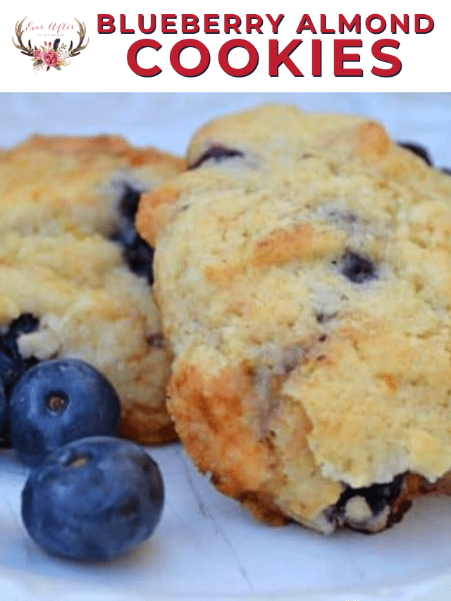 blueberry almond cookies