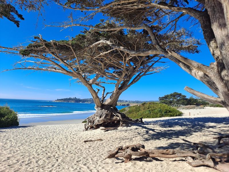 Where The Sand Is Actually White