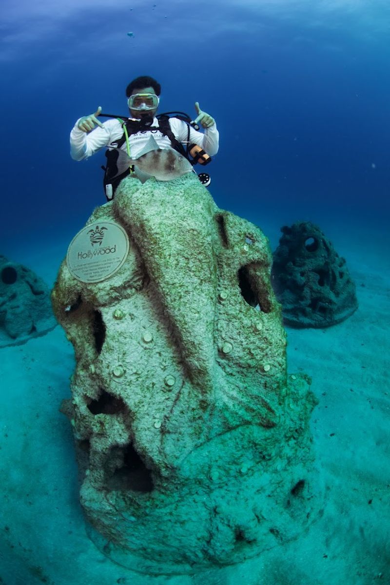 Marine Species Claim Mermaid Sculptures As Home