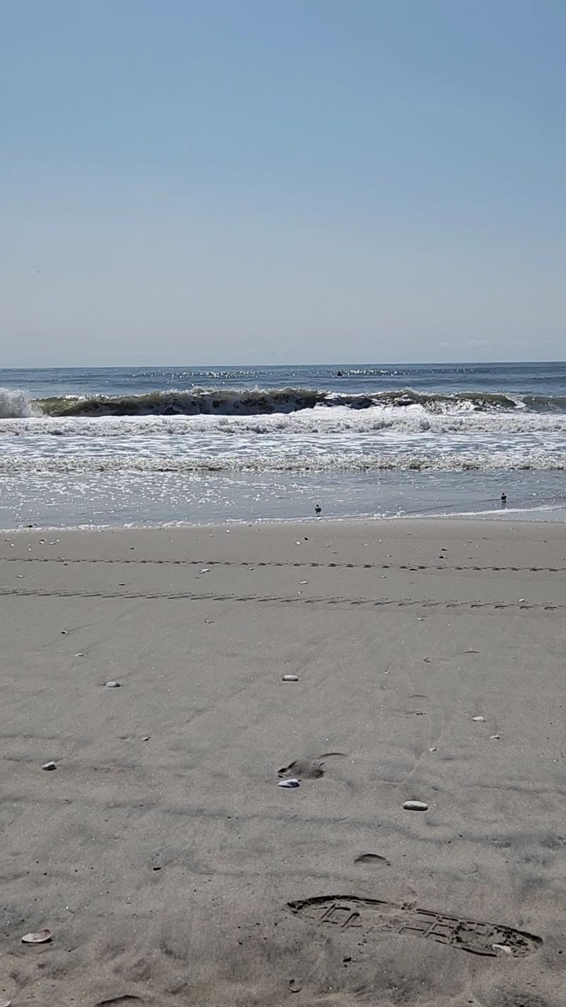 Strathmere Beach