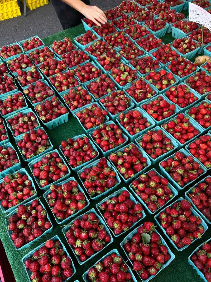Strawberry Fest, Downtown Coldwater
