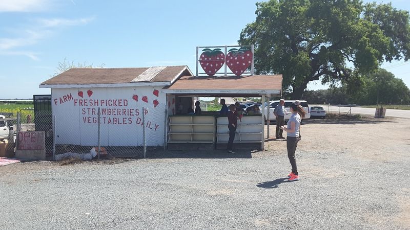 Strawberry Fields Farm Market, Lincoln Park