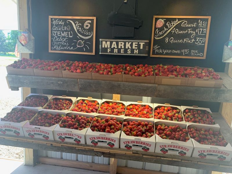 Hanulcik Farm Market & Orchard, Dundee