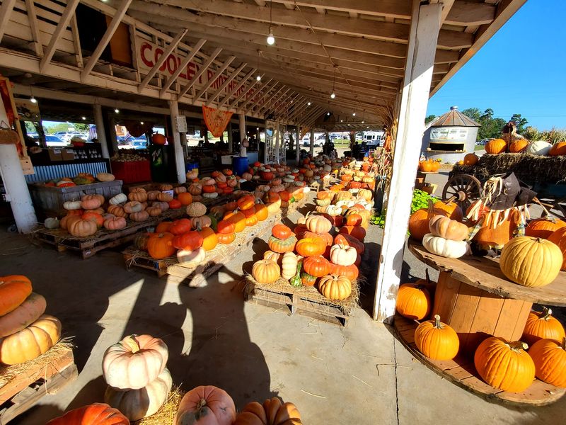 Strawberry Hill USA- PRODUCE SHED, Chesnee Strawberry Hill USA- PRODUCE SHED, Chesnee