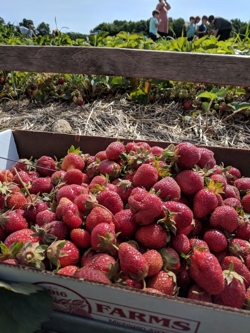 Strawberry Season Treats At Krupp Farms