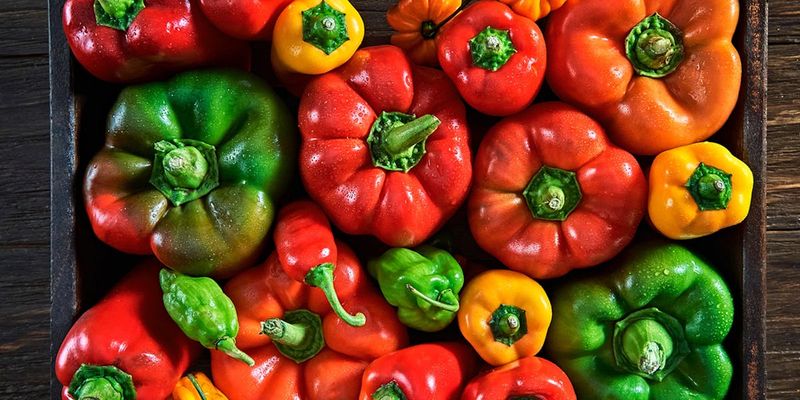 Bell Pepper Rainbow
