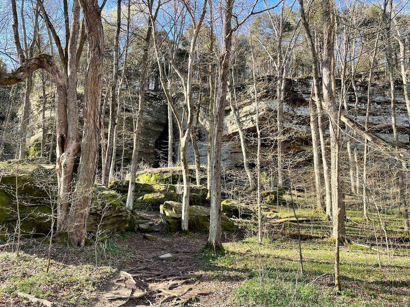 Accessibility That Welcomes Almost Everyone