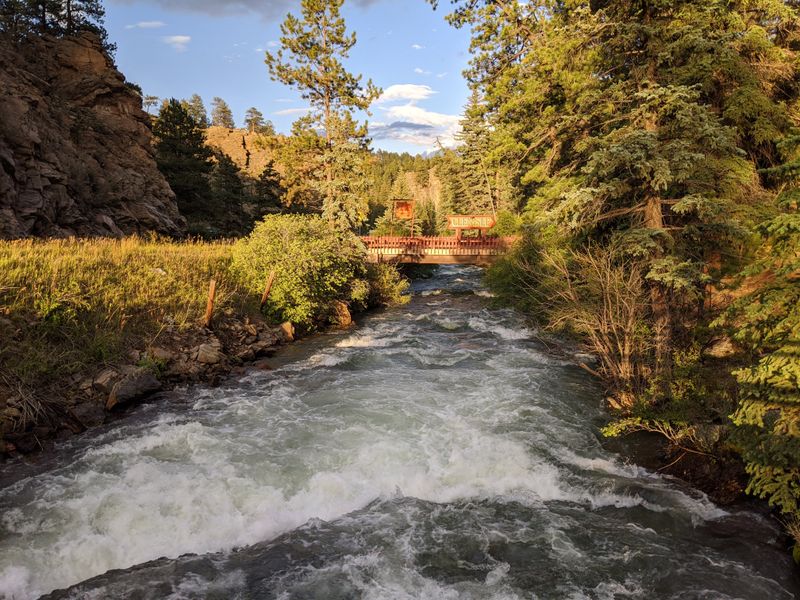 River Light And Pine Air