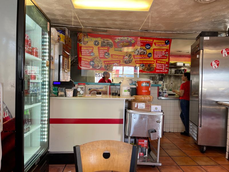 Burro Percheron That Brings Creative Flair