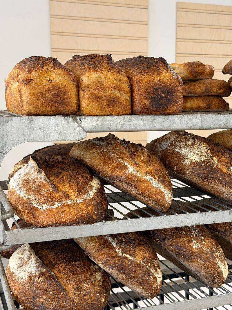 Promise In Plain Words