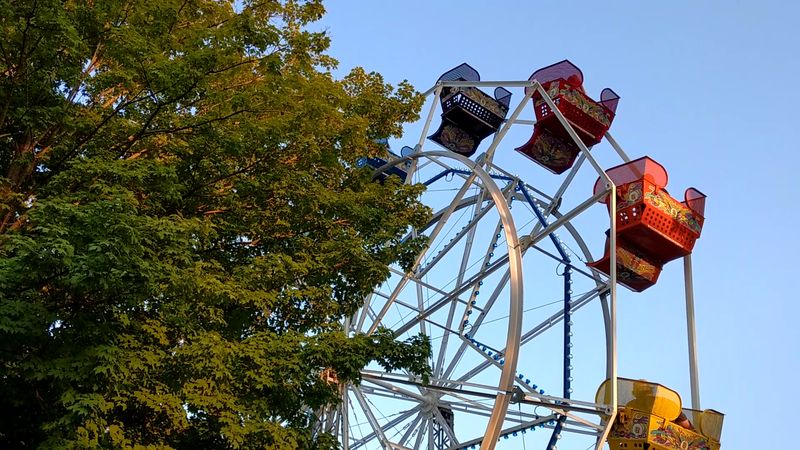 Stricker's Grove, Ross
