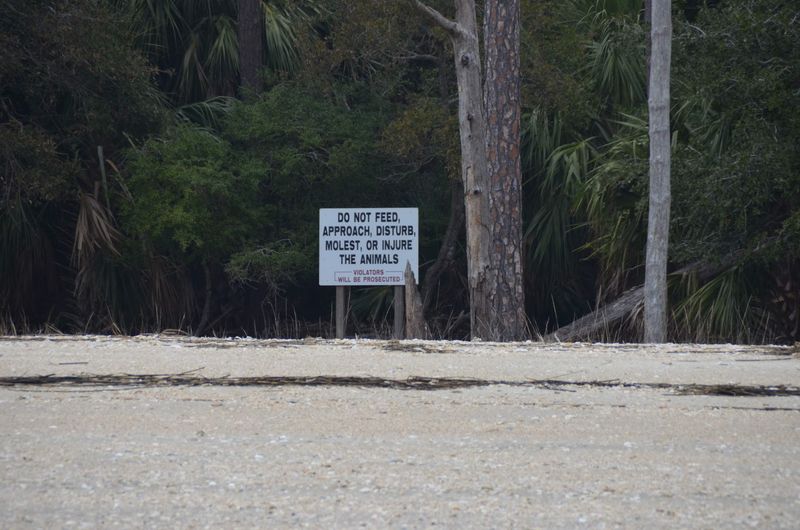 Strict No-Landing Policy Enforced Strict No-Landing Policy Enforced