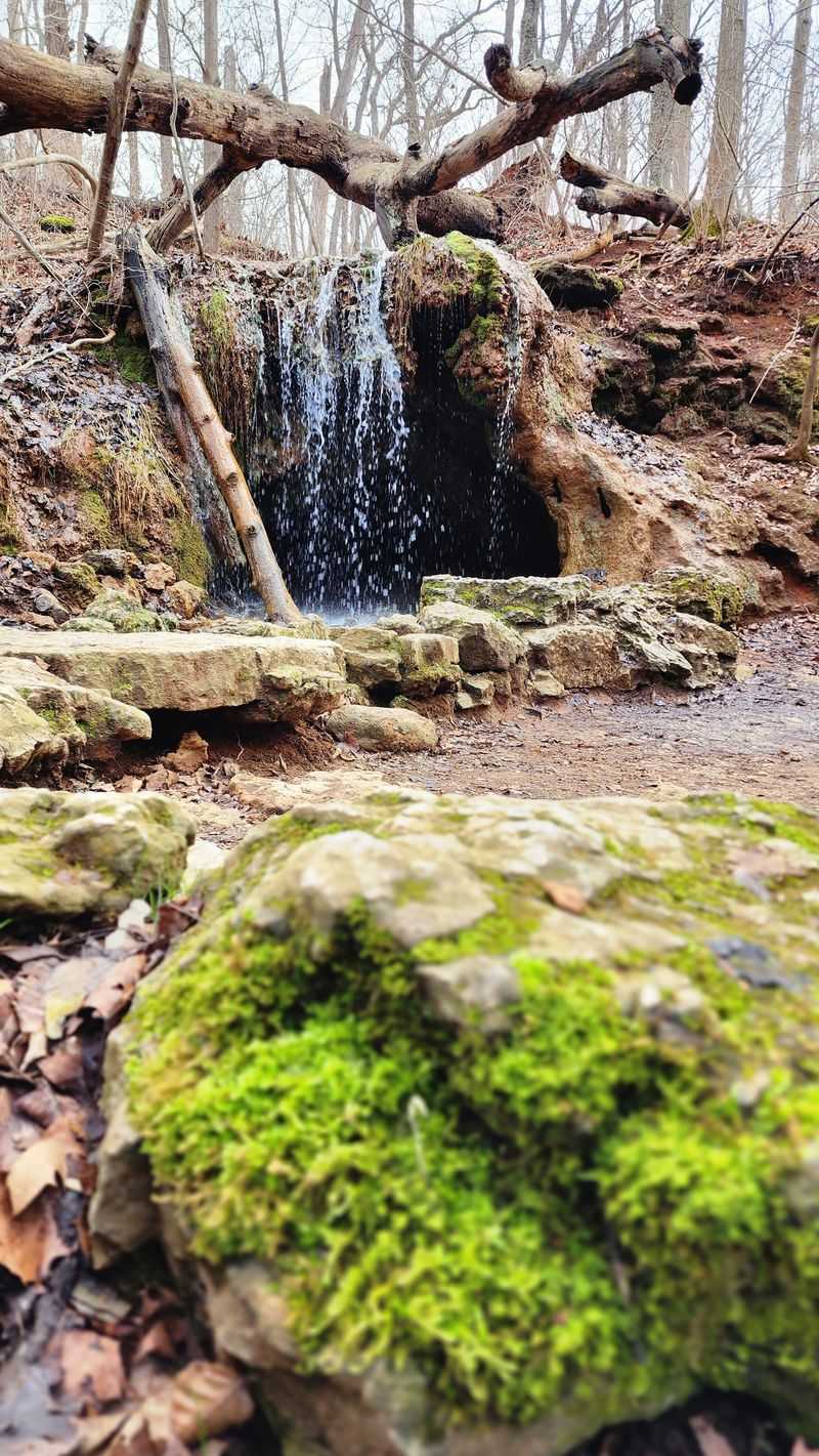 Glen Helen Nature Preserve