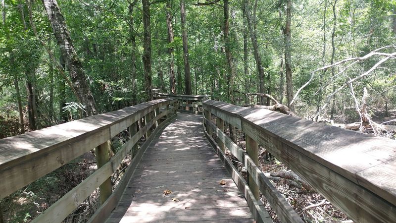 Stroll The River Boardwalk Without Breaking A Sweat