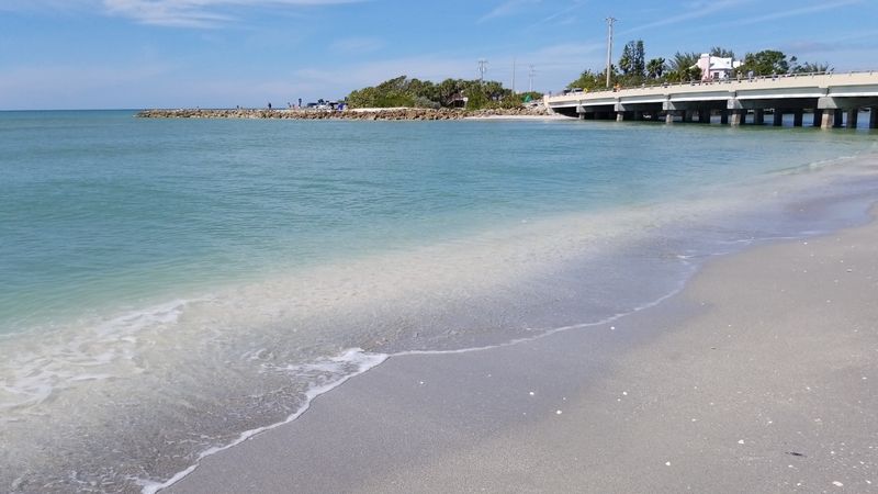 Fishermen, Pelicans, And The Bridge