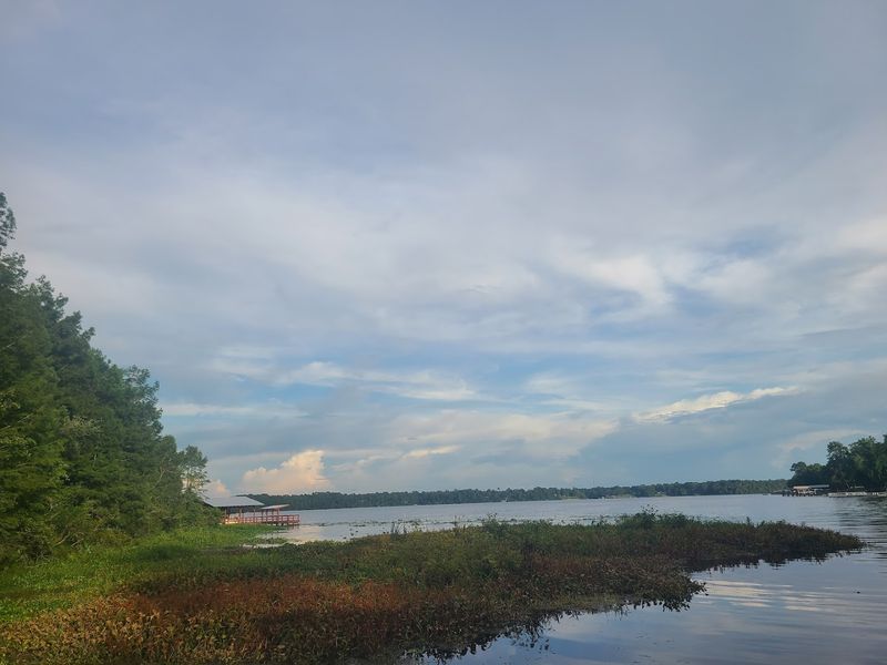 Genuine Opportunity For Financial Stability