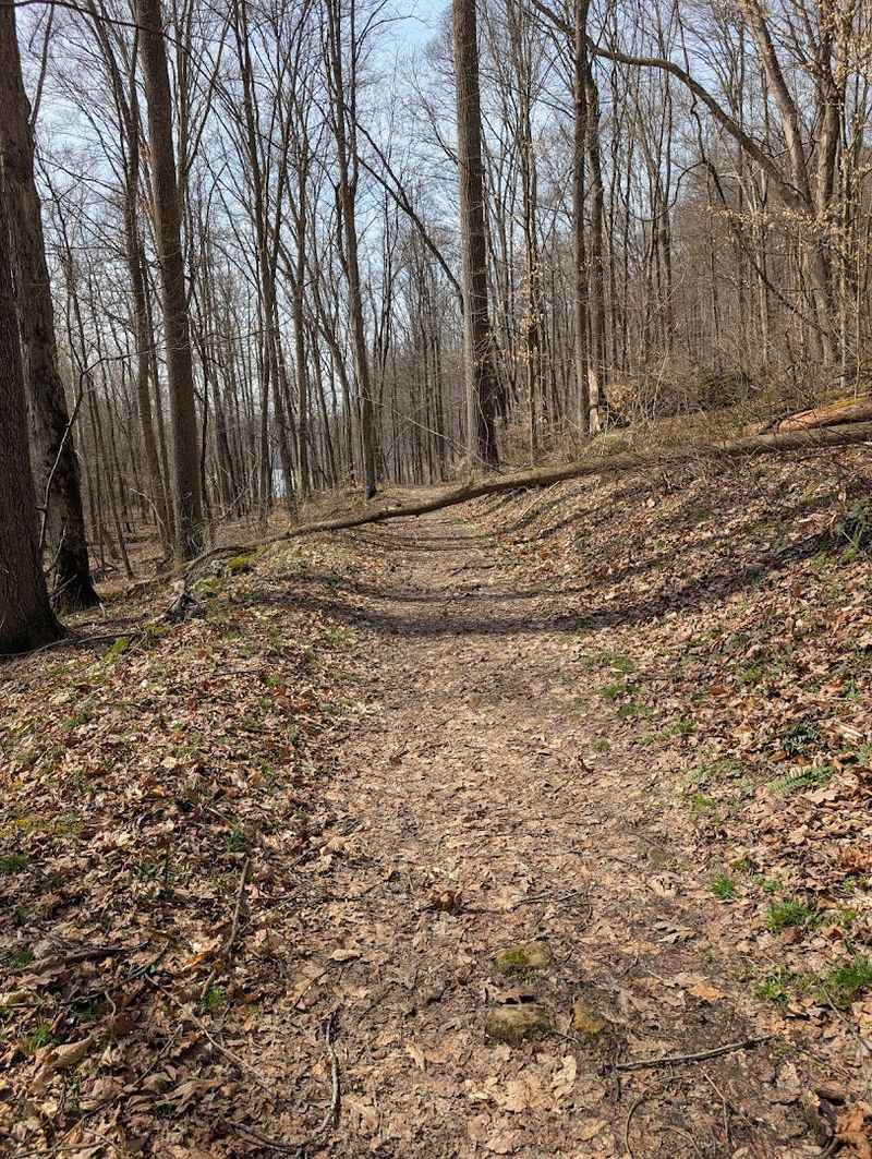 Salt Fork State Park, Lore City, Ohio