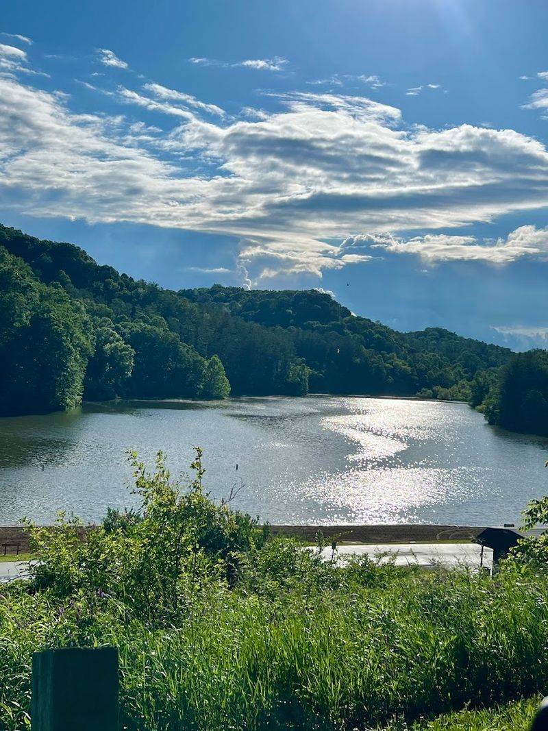 Strouds Run State Park Campground, Athens Strouds Run State Park Campground, Athens