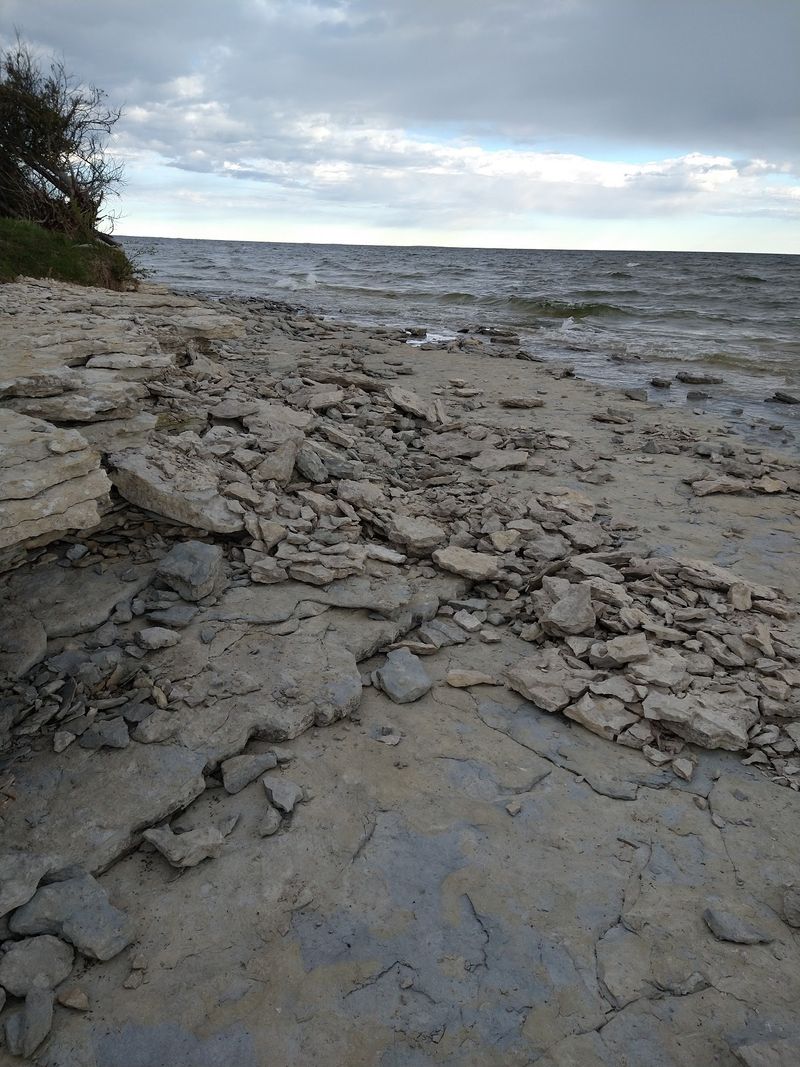 Study The Ancient Shoreline Fossils Study The Ancient Shoreline Fossils
