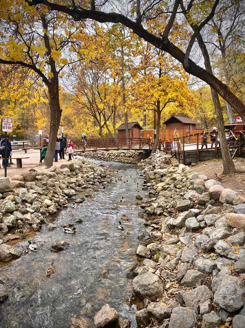 Use The Bridge As A Palate Reset