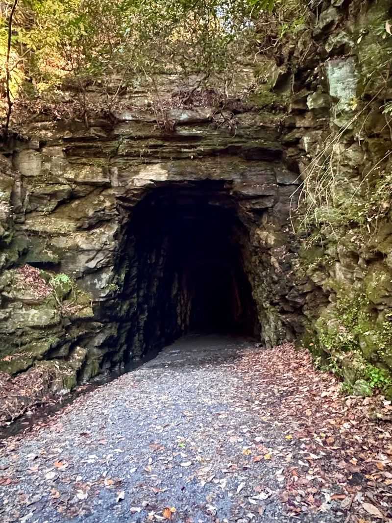 Stumphouse Tunnel, Walhalla