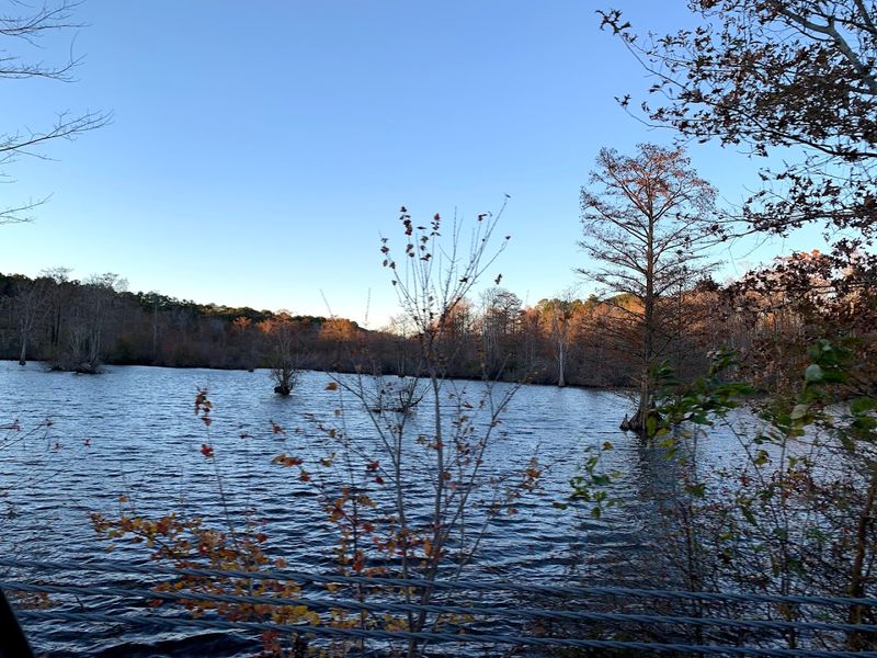 Stumpy Lake Loop