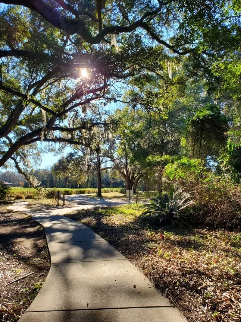 Stunning Live Oaks And Peaceful Grounds Stunning Live Oaks And Peaceful Grounds