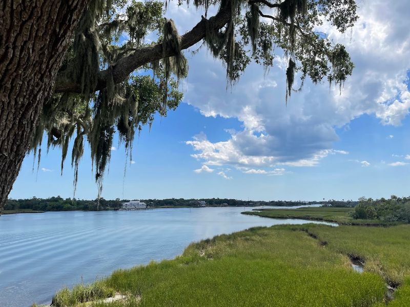 Wildlife Watching Along Historic Shores