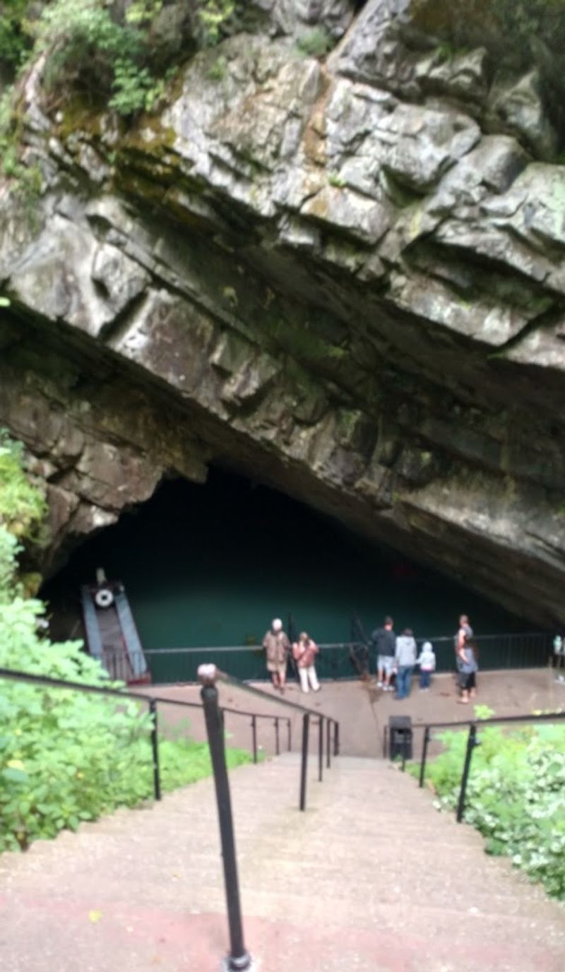 Practical Tips for Booking and Visiting