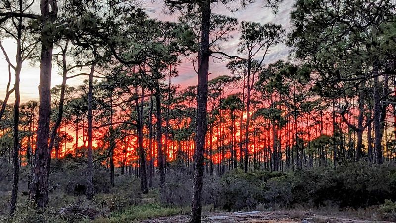 One of the Longest Boardwalks In The South