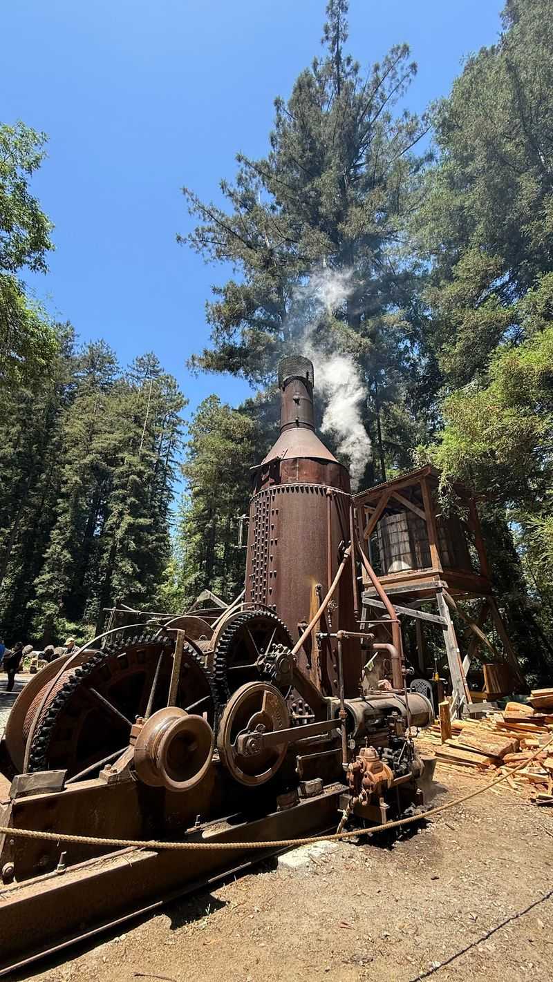 Sturgeon's Mill