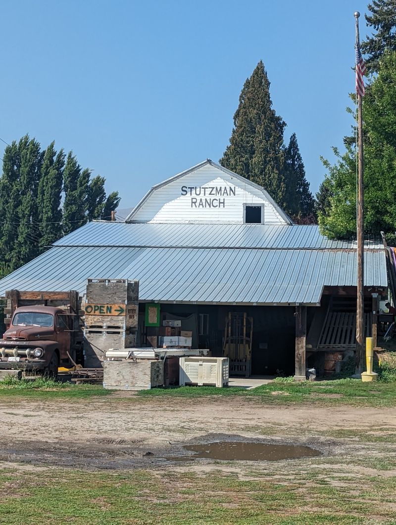 Stutzman Ranch, Wenatchee, WA