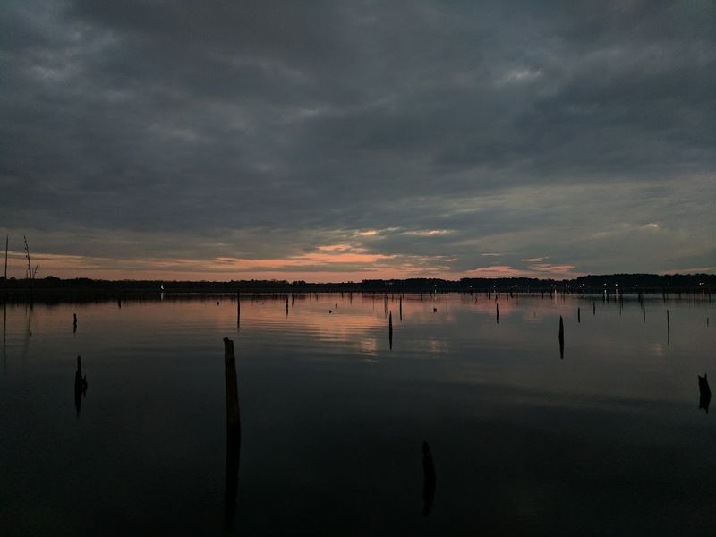 Night Feeding Windows When Big Catfish Move Shallow