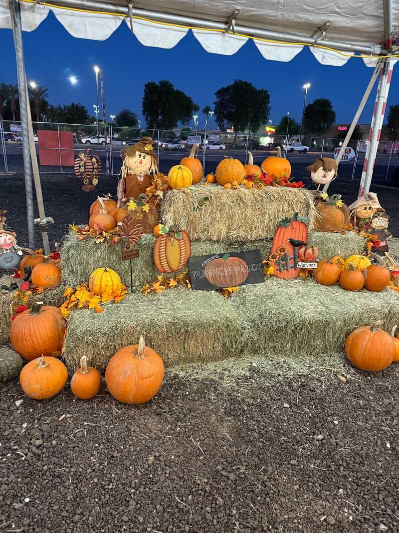 Suburban Convenience With a Seasonal Twist